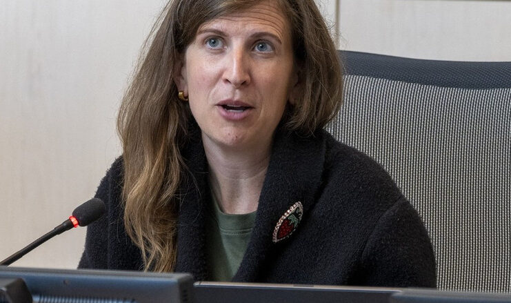 愛民頓市議員Anne Stevenson資料圖片